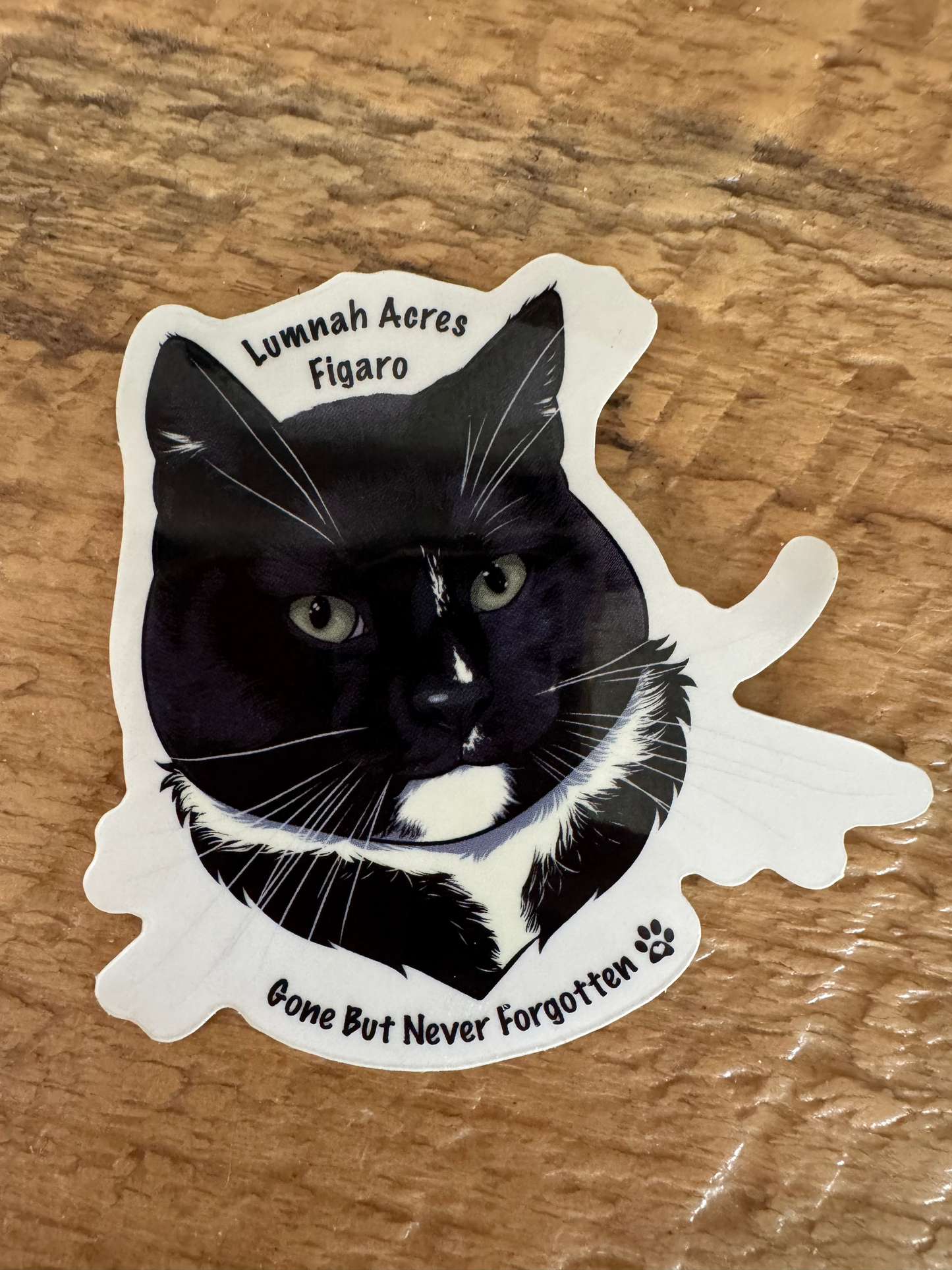 Lumnah Acres Figaro Sticker